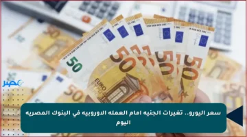 سعر اليورو.. تغيرات الجنيه أمام العملة الأوروبية في البنوك المصرية اليوم